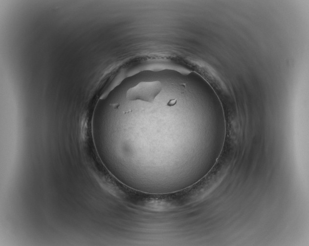 X0000116330596200912011134