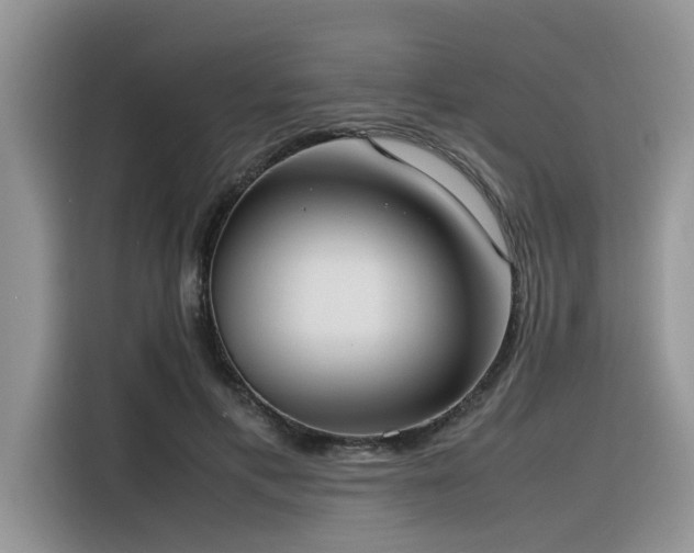 X0000116330597200912011134