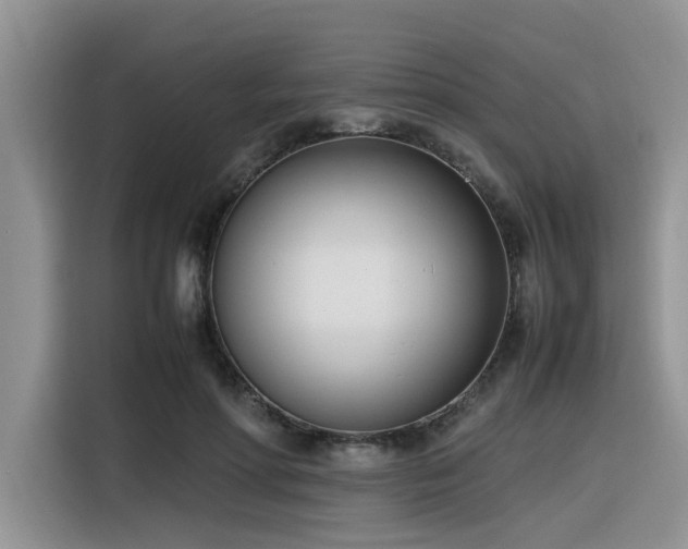 X0000116330598200912011134