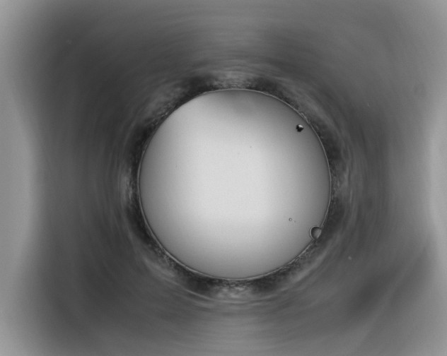 X0000116330599200912011134