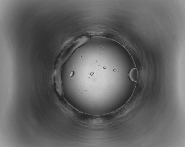 X0000116330600200912011134