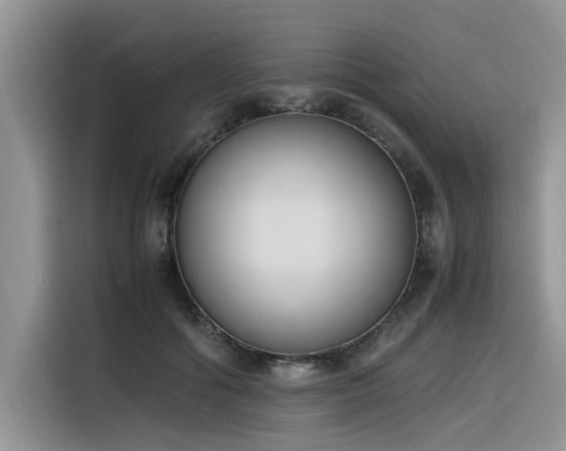X0000116330602200912011134