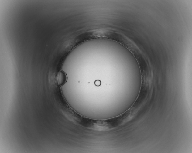 X0000116330603200912011134