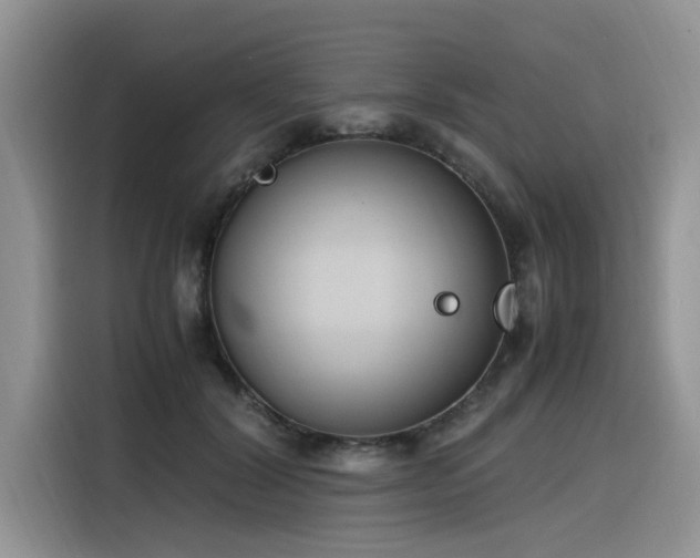 X0000116330604200912011134