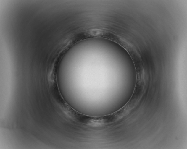 X0000116330606200912011134