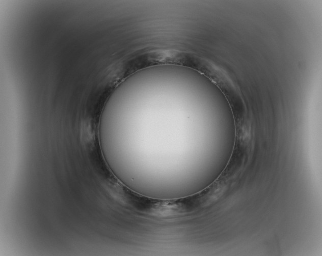 X0000116330607200912011134