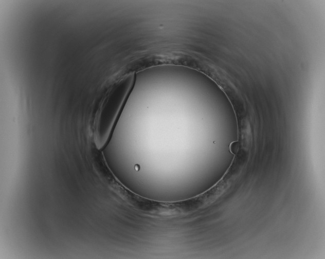 X0000116330608200912011134