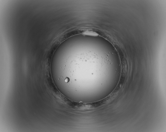 X0000116330609200912011134