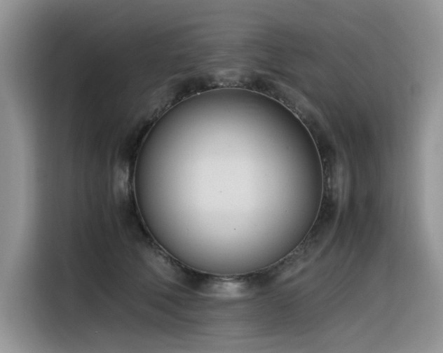 X0000116330610200912011134