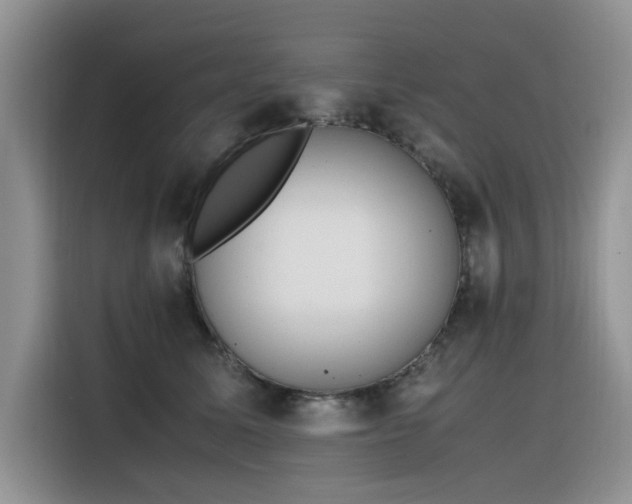 X0000116330611200912011134