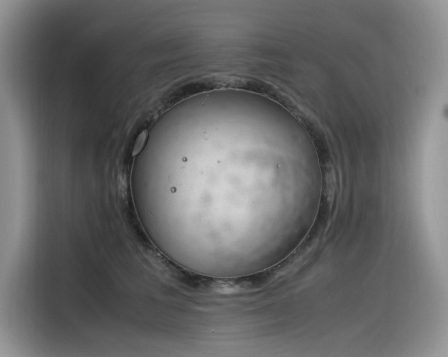 X0000116330613200912011134