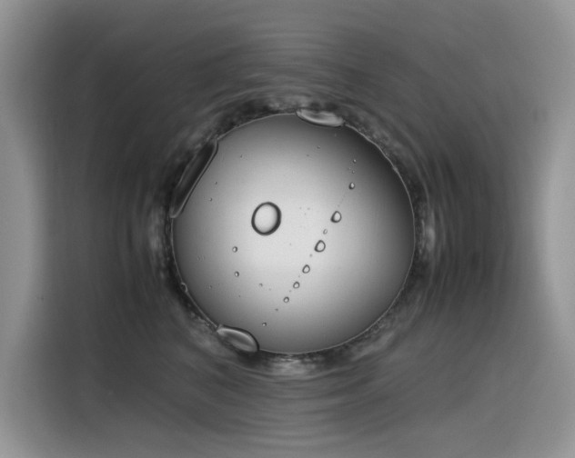 X0000116330616200912011134