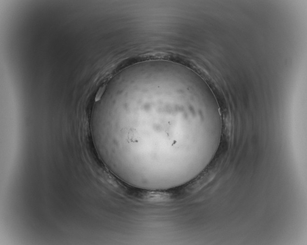 X0000116330617200912011134