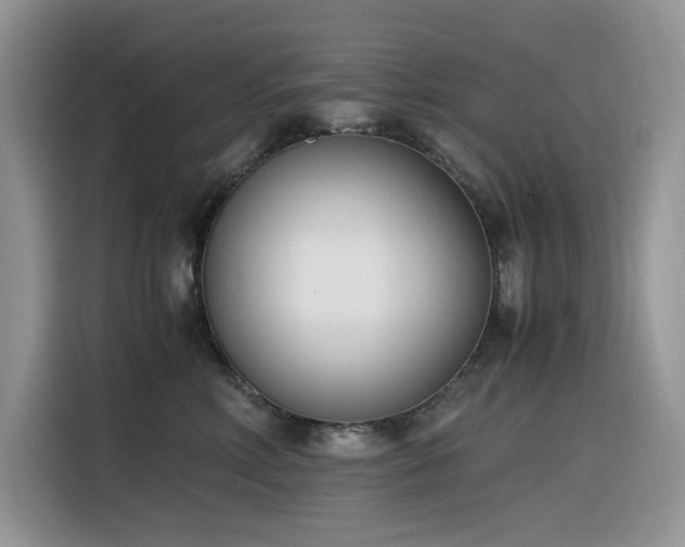 X0000116330618200912011134