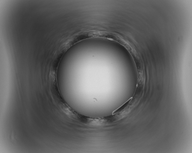 X0000116330621200912011134