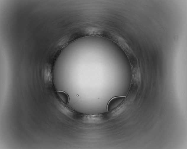 X0000116330622200912011134