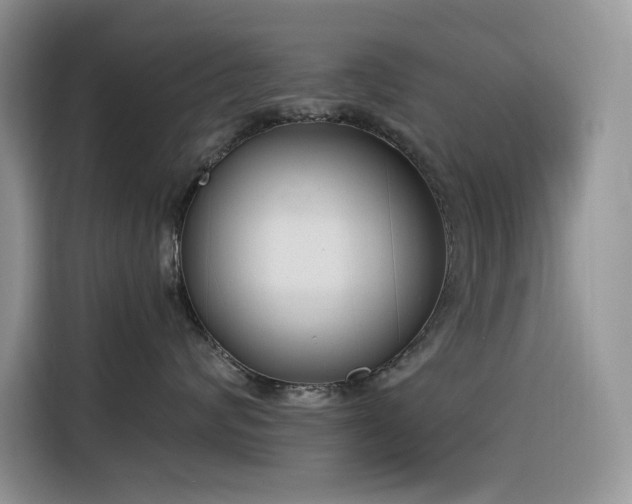 X0000116330624200912011134