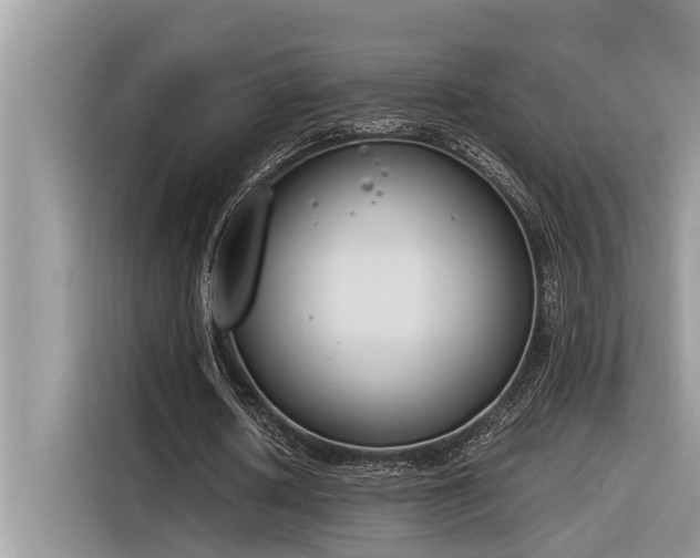 X0000116330626200912011133