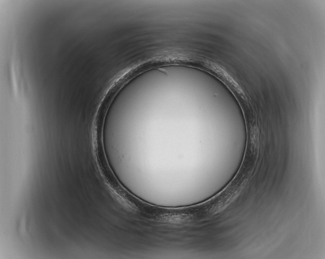 X0000116330629200912011133