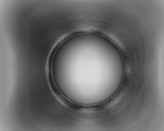 X0000116330630200912011133