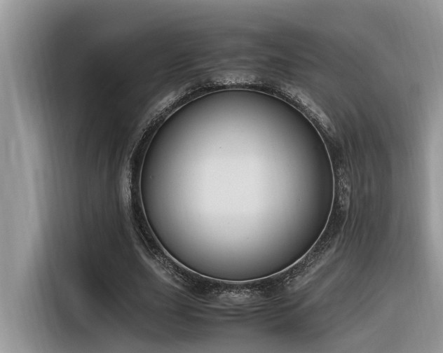 X0000116330631200912011133