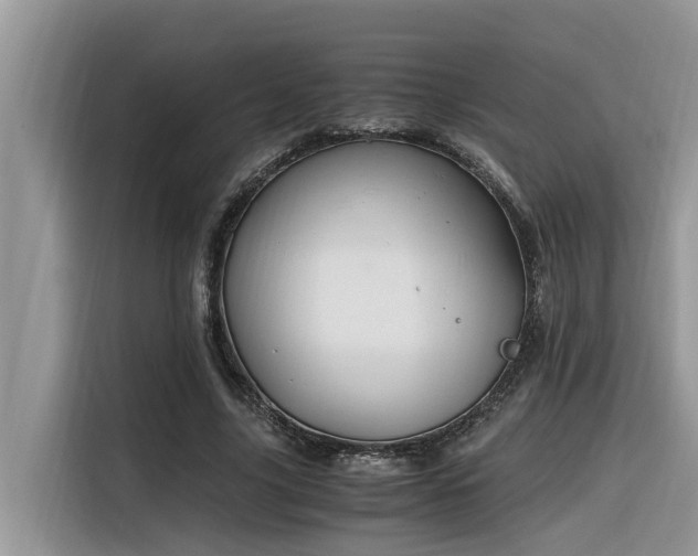 X0000116330635200912011133