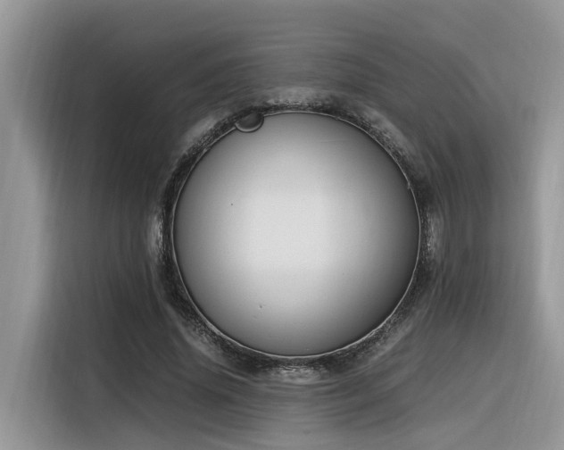 X0000116330636200912011133