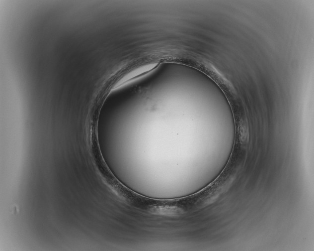 X0000116330637200912011133
