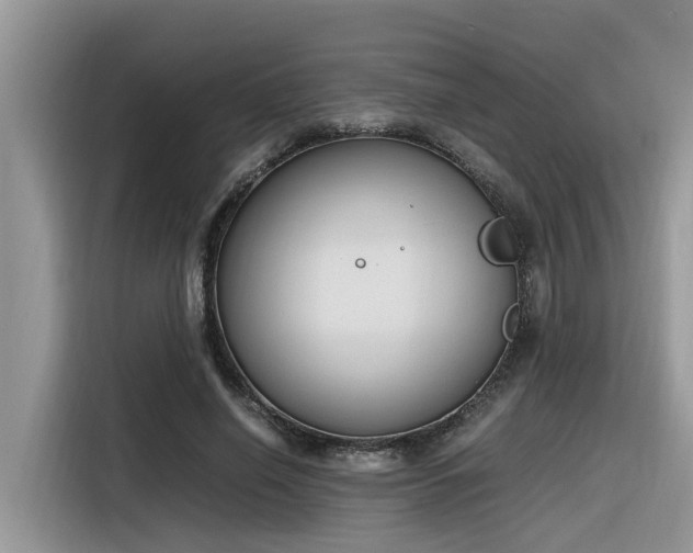 X0000116330638200912011133