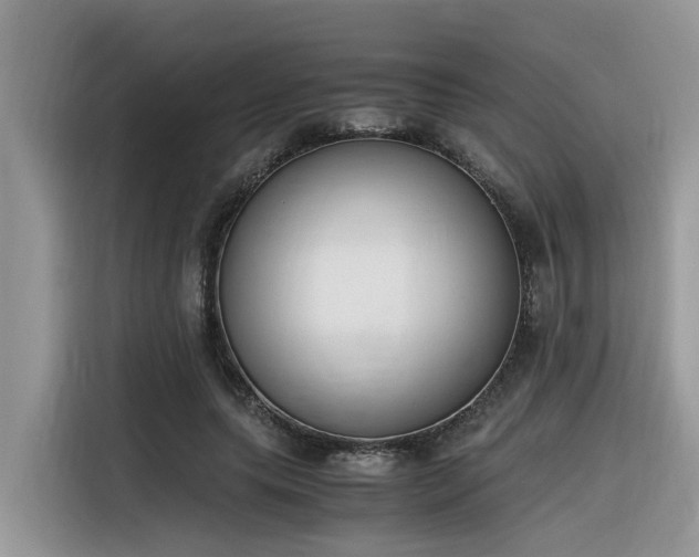 X0000116330639200912011133