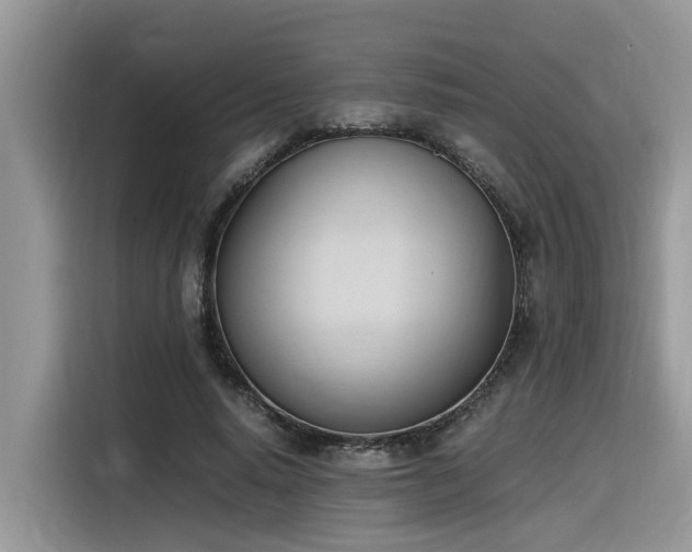 X0000116330640200912011133