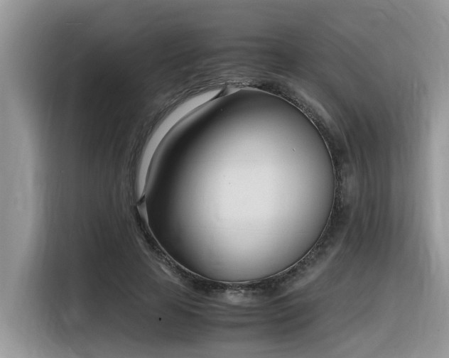 X0000116330641200912011133