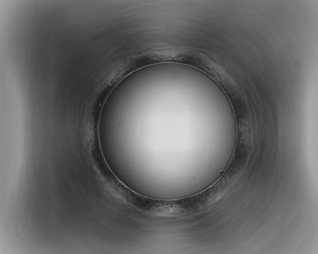 X0000116330642200912011133