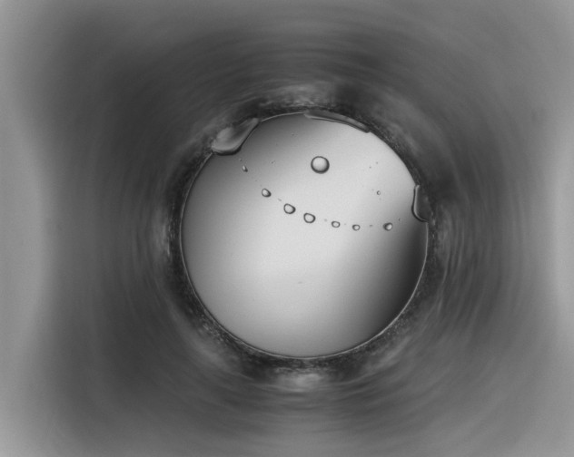 X0000116330643200912011133