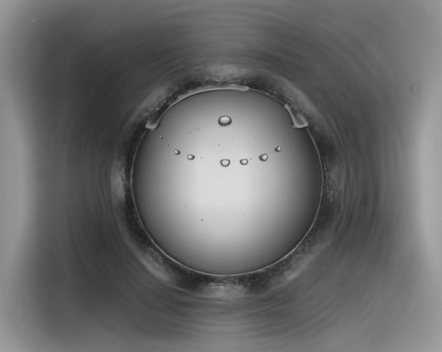 X0000116330644200912011133