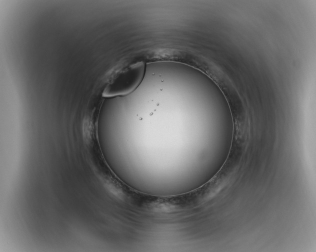 X0000116330648200912011133