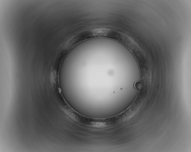 X0000116330649200912011133