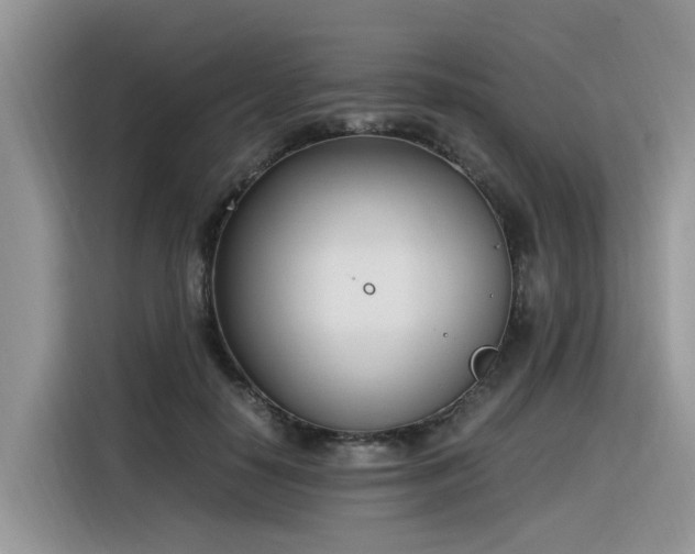 X0000116330650200912011133