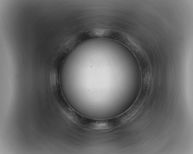 X0000116330651200912011133