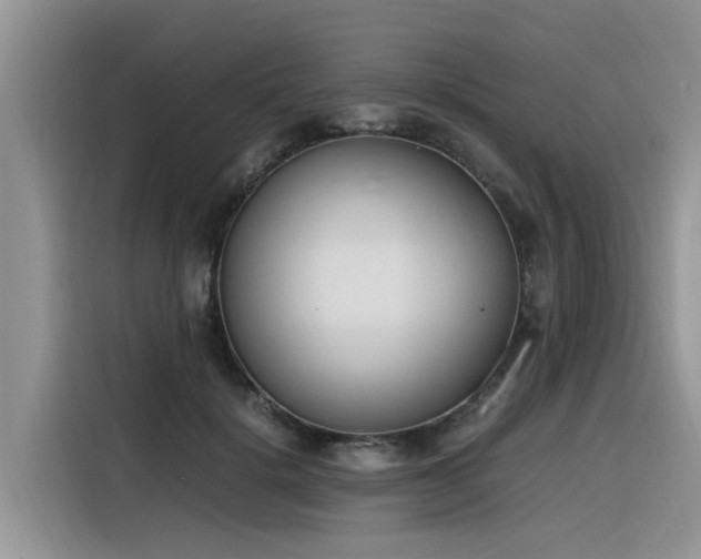 X0000116330652200912011133