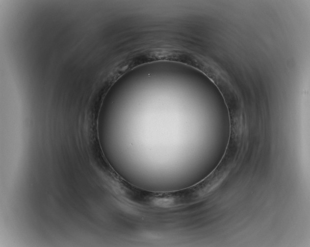 X0000116330653200912011133