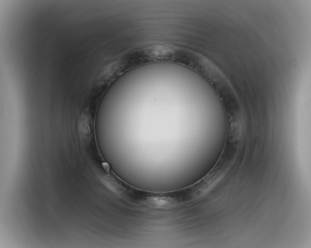 X0000116330654200912011133