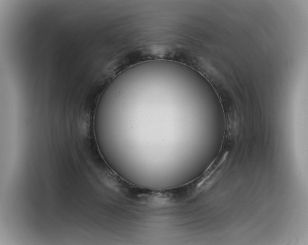 X0000116330656200912011133