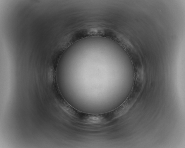 X0000116330659200912011133