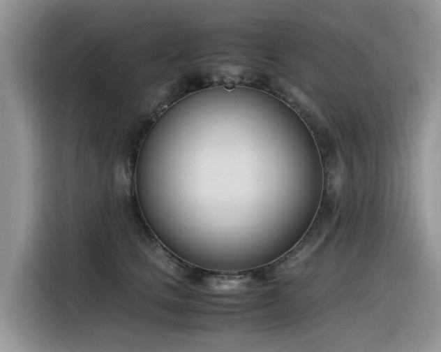 X0000116330661200912011133
