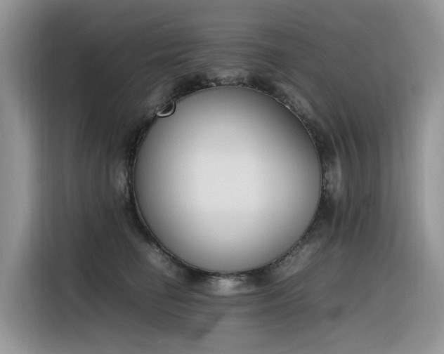 X0000116330662200912011133