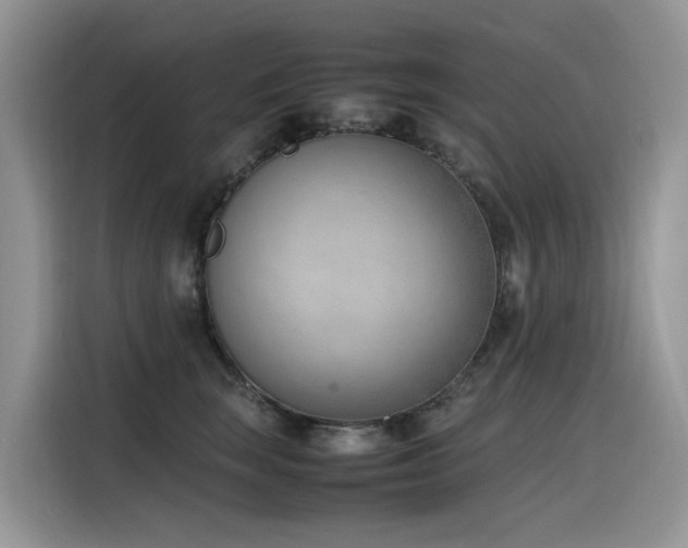 X0000116330663200912011133