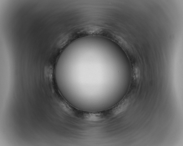 X0000116330664200912011133