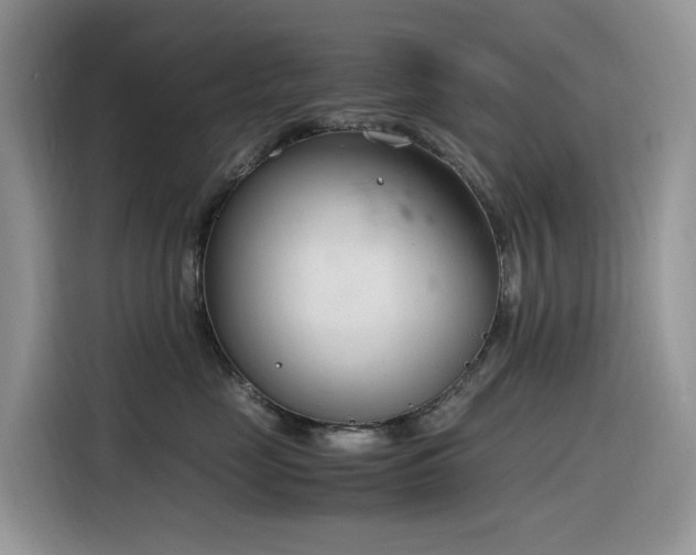 X0000116330669200912011133