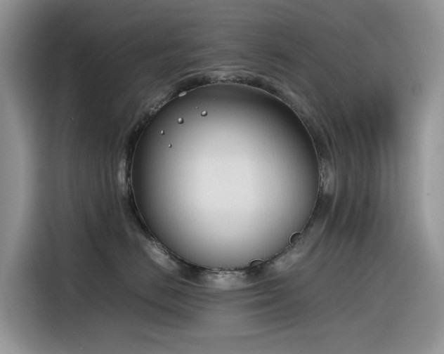 X0000116330670200912011134